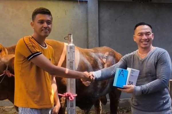 Ada-ada Saja, Beli Sapi Kurban di Pasuruan Dapat Bonus “Handphone”